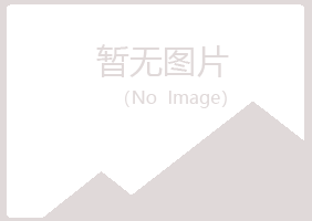 黄山斑驳化学有限公司